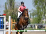 03 Mittlerer Springwettbewerb